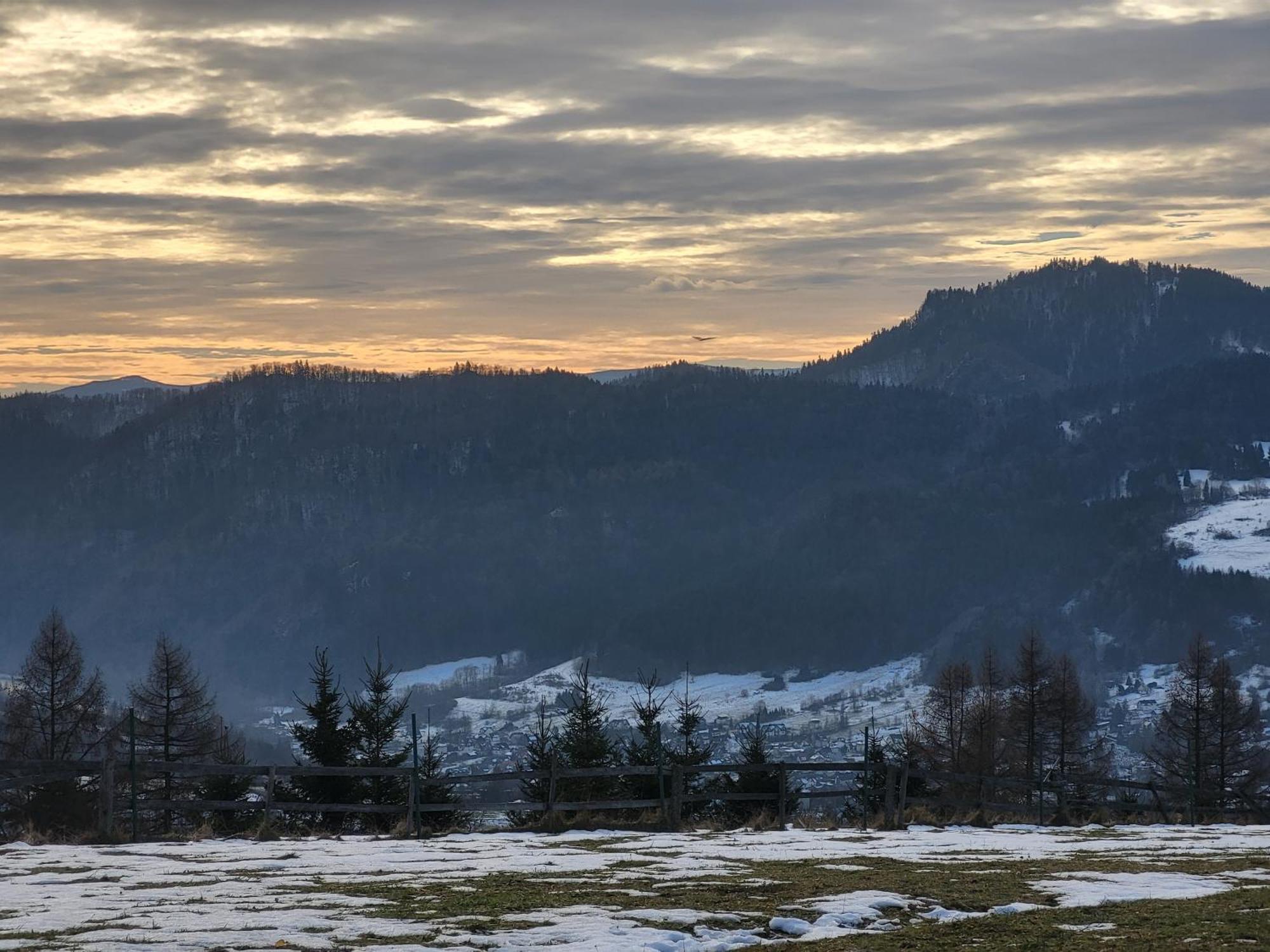 Domki I Pokoje U Ilony Krościenko Buitenkant foto